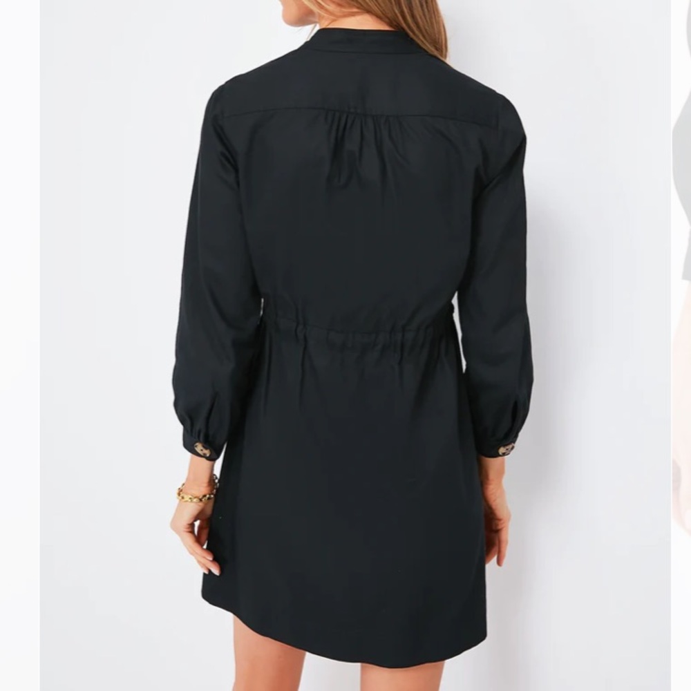 Black Crosby Dress
TUCKERNUCK - Picture 4 of 10